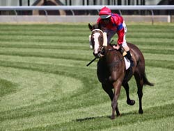 Racing Carnival