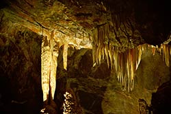 Jenolan caves